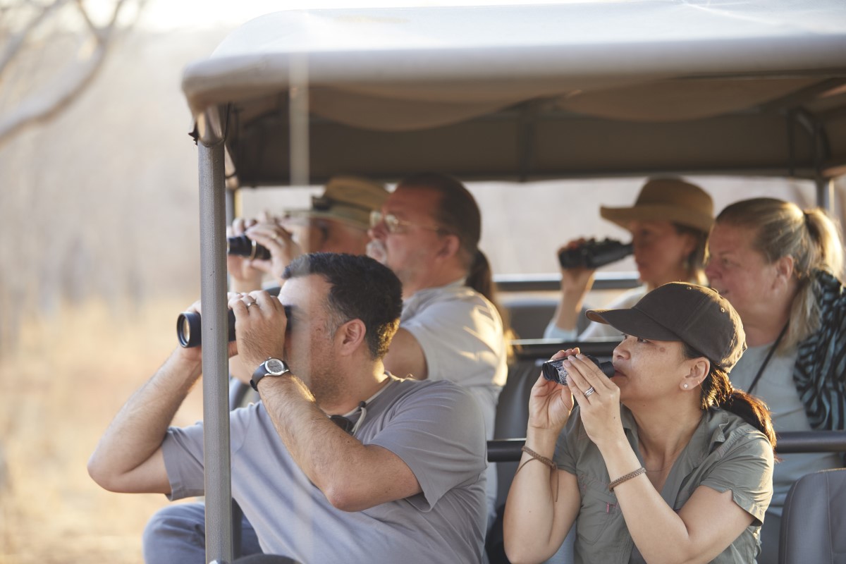 Simply IT Digital Marketing for Safari Companies to help them to be found online